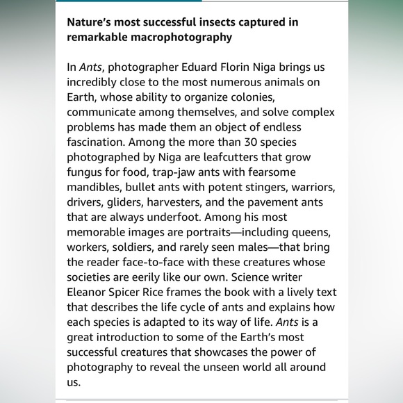 ANTS ~ Workers of the World ~ Hardcover Coffee Table Book ~ Illustrated - Picture 10 of 10